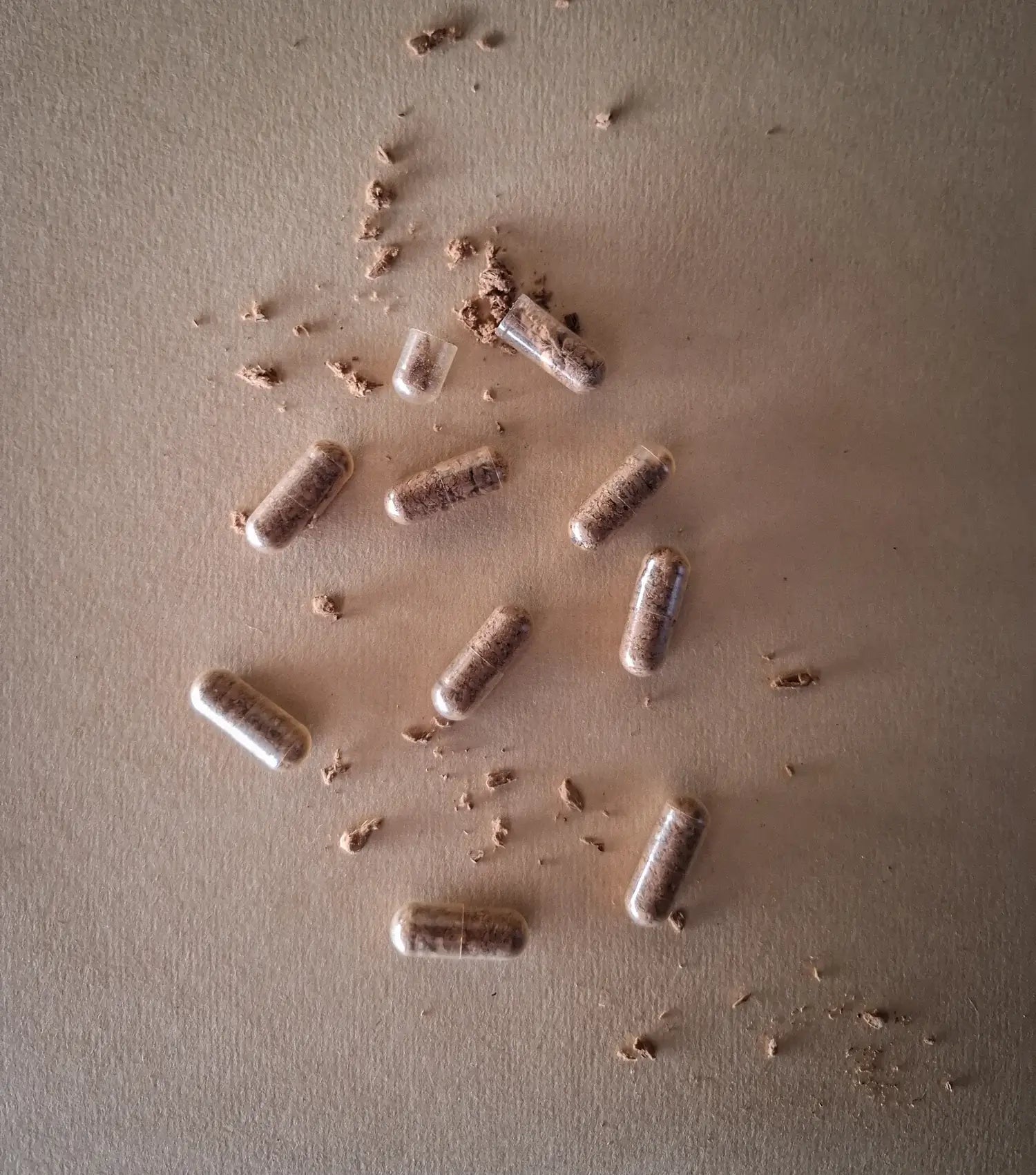 Australian Reishi Mushroom Capsules