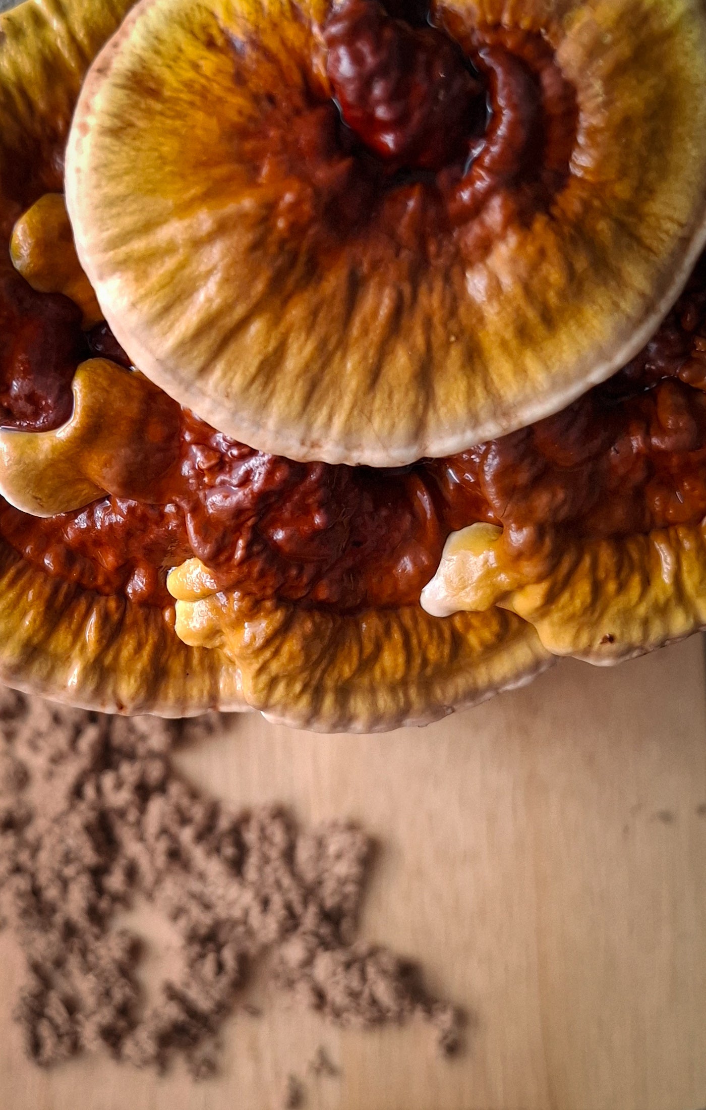 Australian Reishi Mushroom Powder