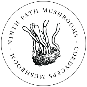 Cordyceps Mushroom | Ninth Path