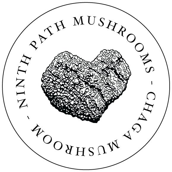 Chaga Mushroom | Ninth Path