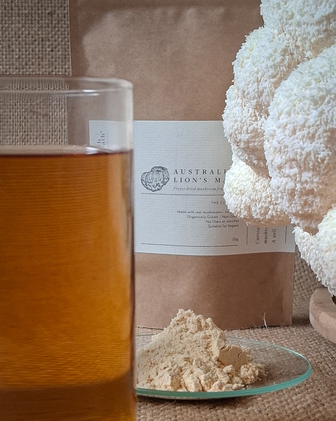 Mushroom Powder vs Mushroom Extract: Which One is better?