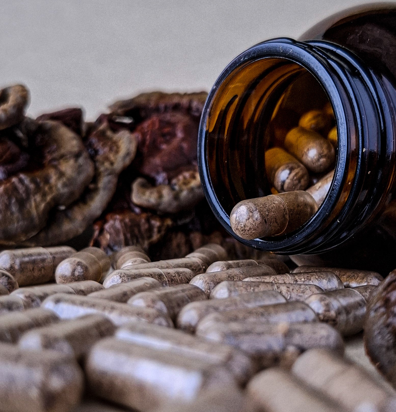 Australian Reishi Mushroom Capsules