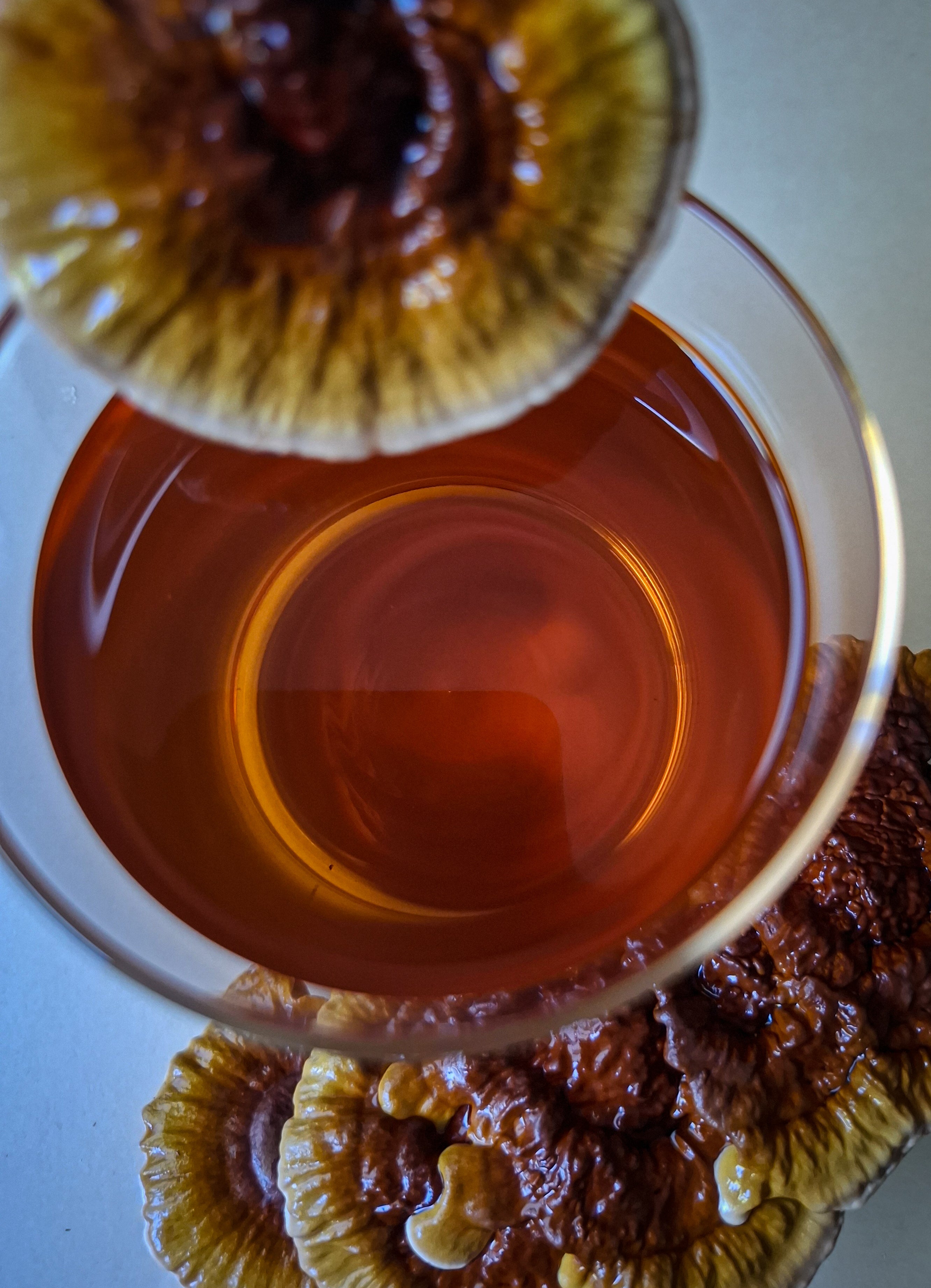 Australian Reishi mushroom drops