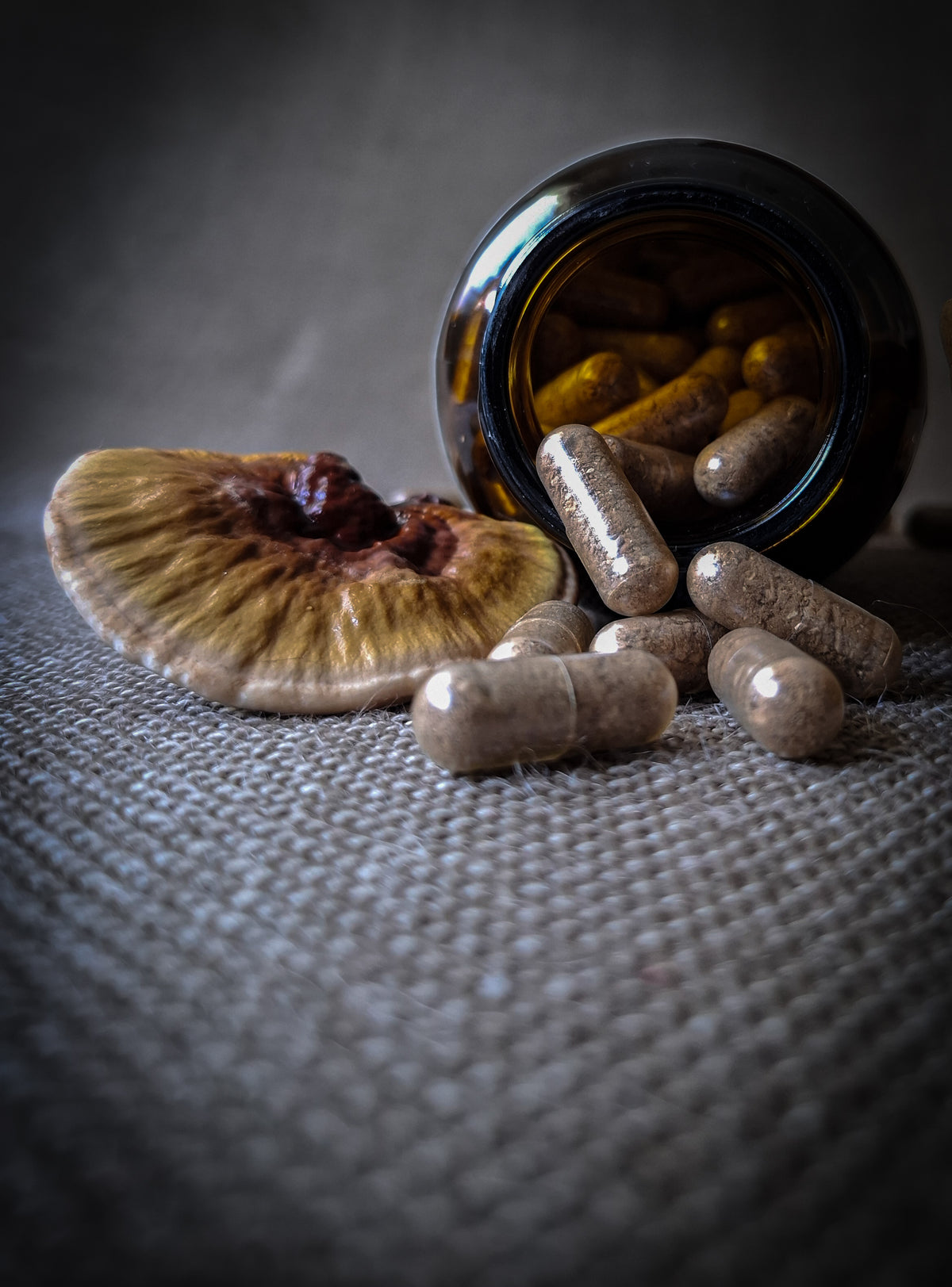 Australian Reishi Mushroom Capsules
