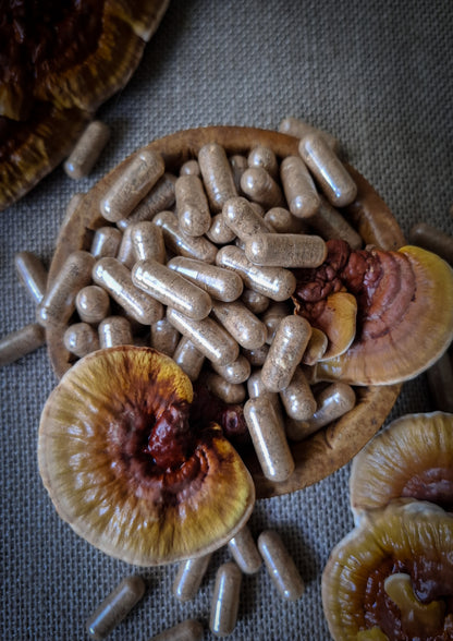 Australian Reishi Mushroom Capsules