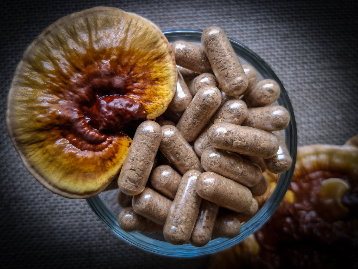 Australian Reishi Mushroom Capsules