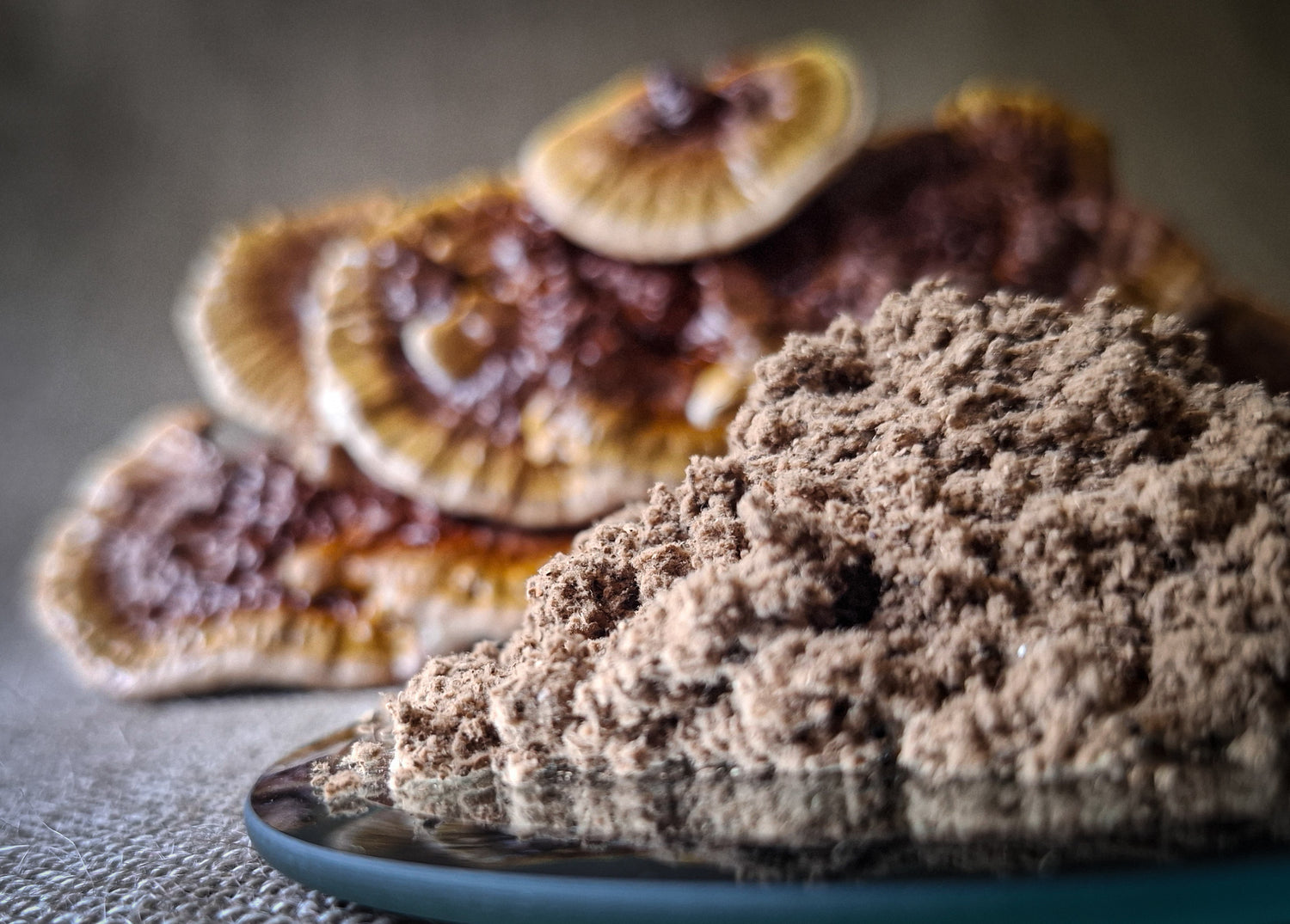 Australian Reishi Mushroom Powder