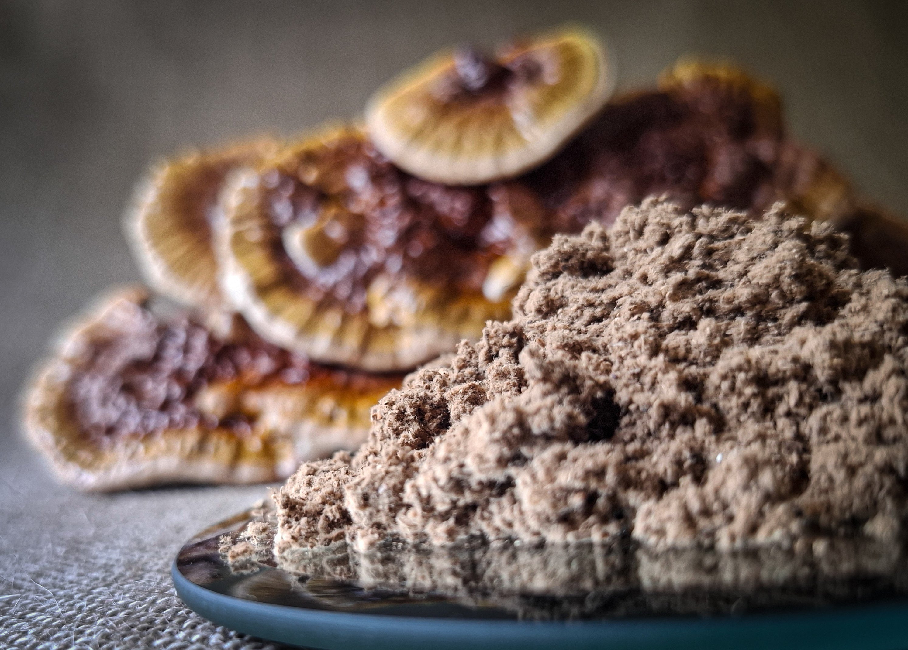 Australian Reishi Mushroom Powder