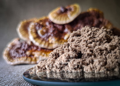 Australian Reishi Mushroom Powder