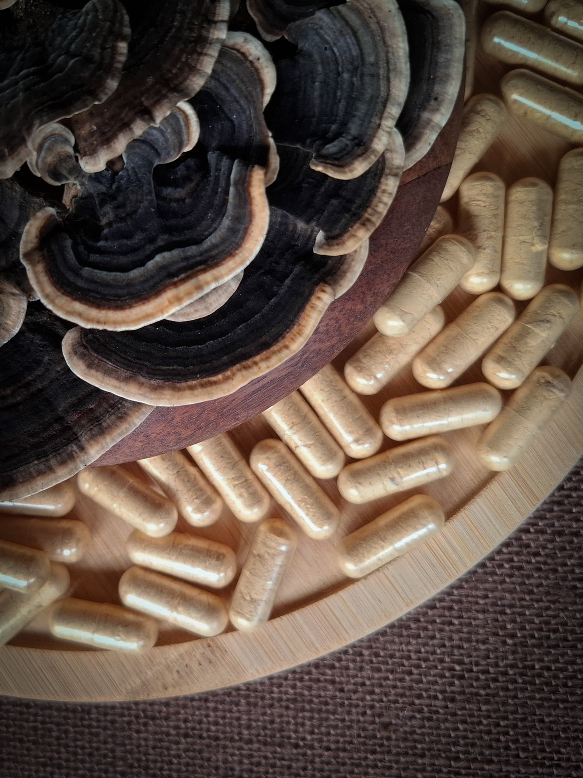 Australian Turkey Tail Mushroom Capsules