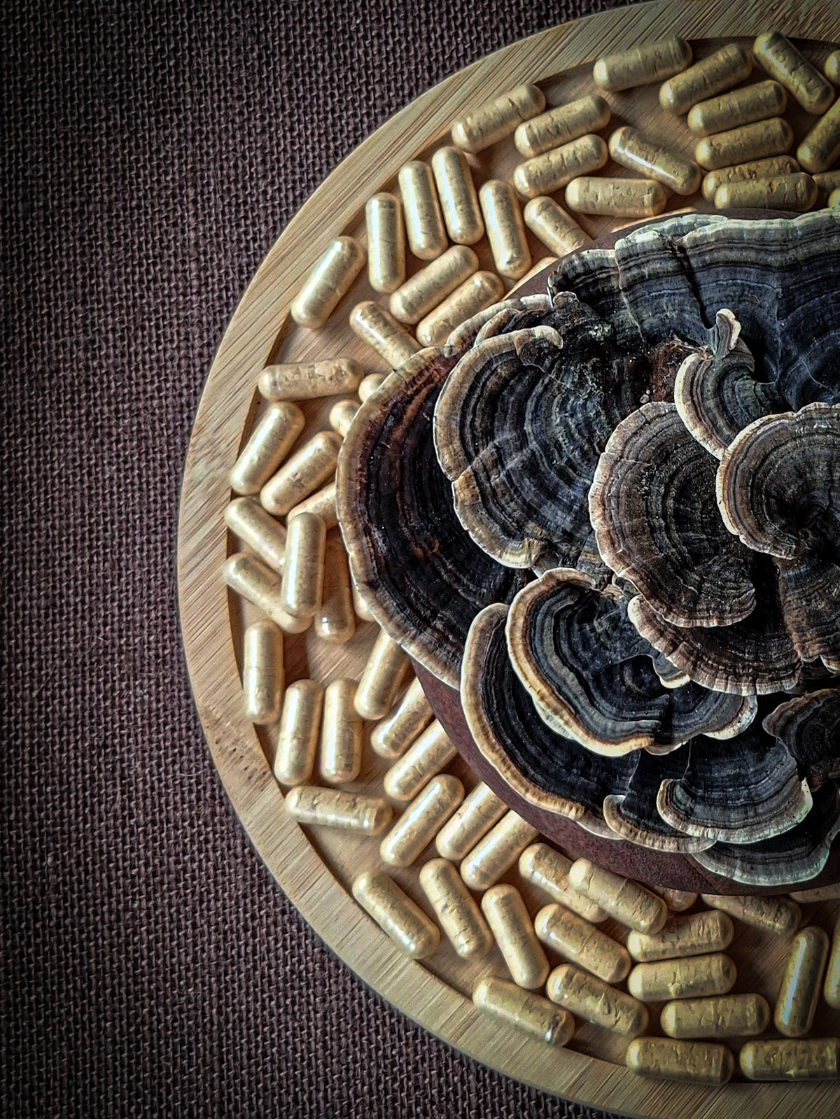 Australian Turkey Tail Mushroom Capsules