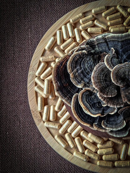 Australian Turkey Tail Mushroom Capsules