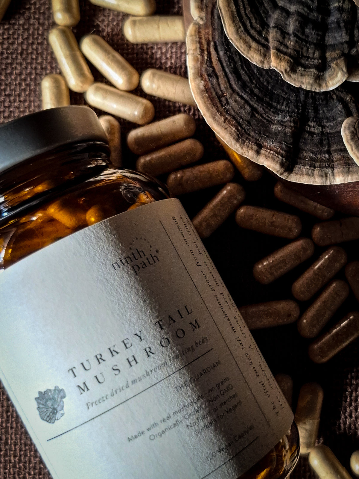 Australian Turkey Tail Mushroom Capsules