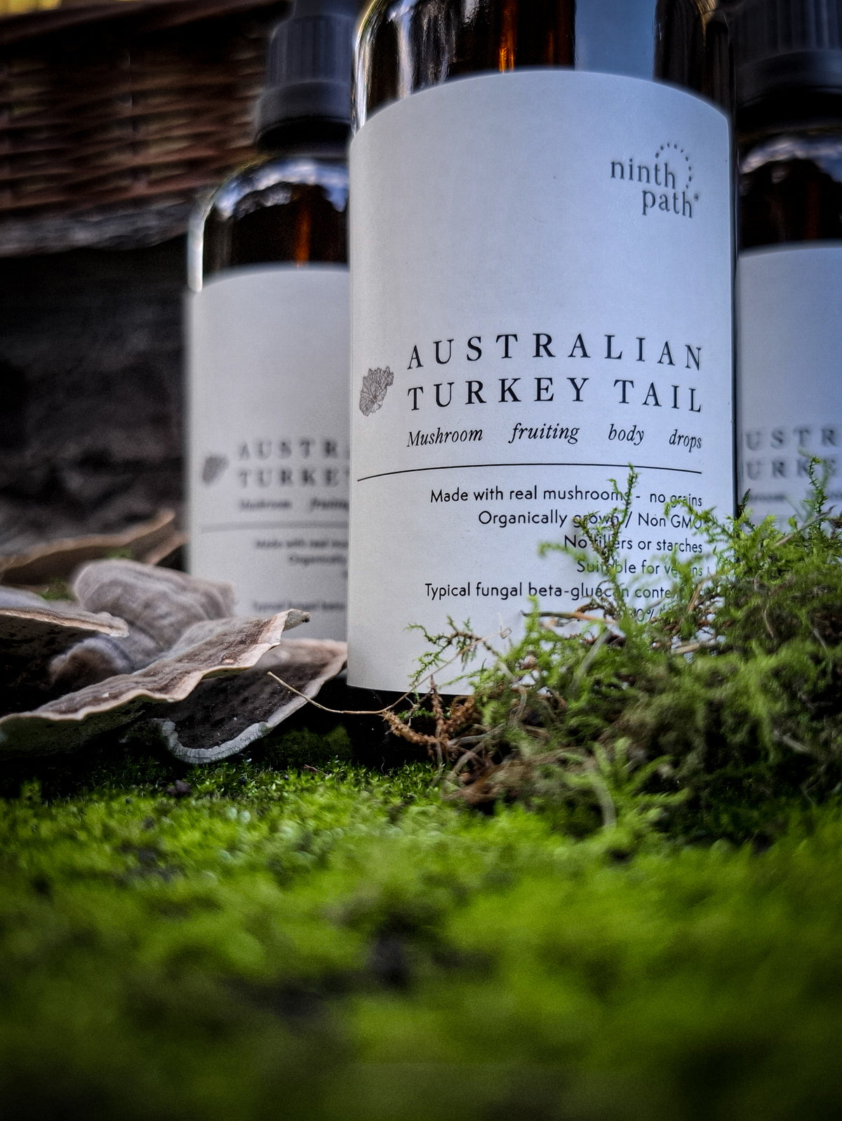 Australian Turkey Tail mushroom drops