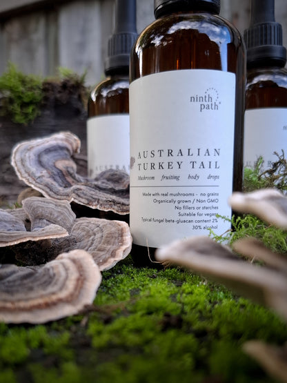 Australian Turkey Tail mushroom drops
