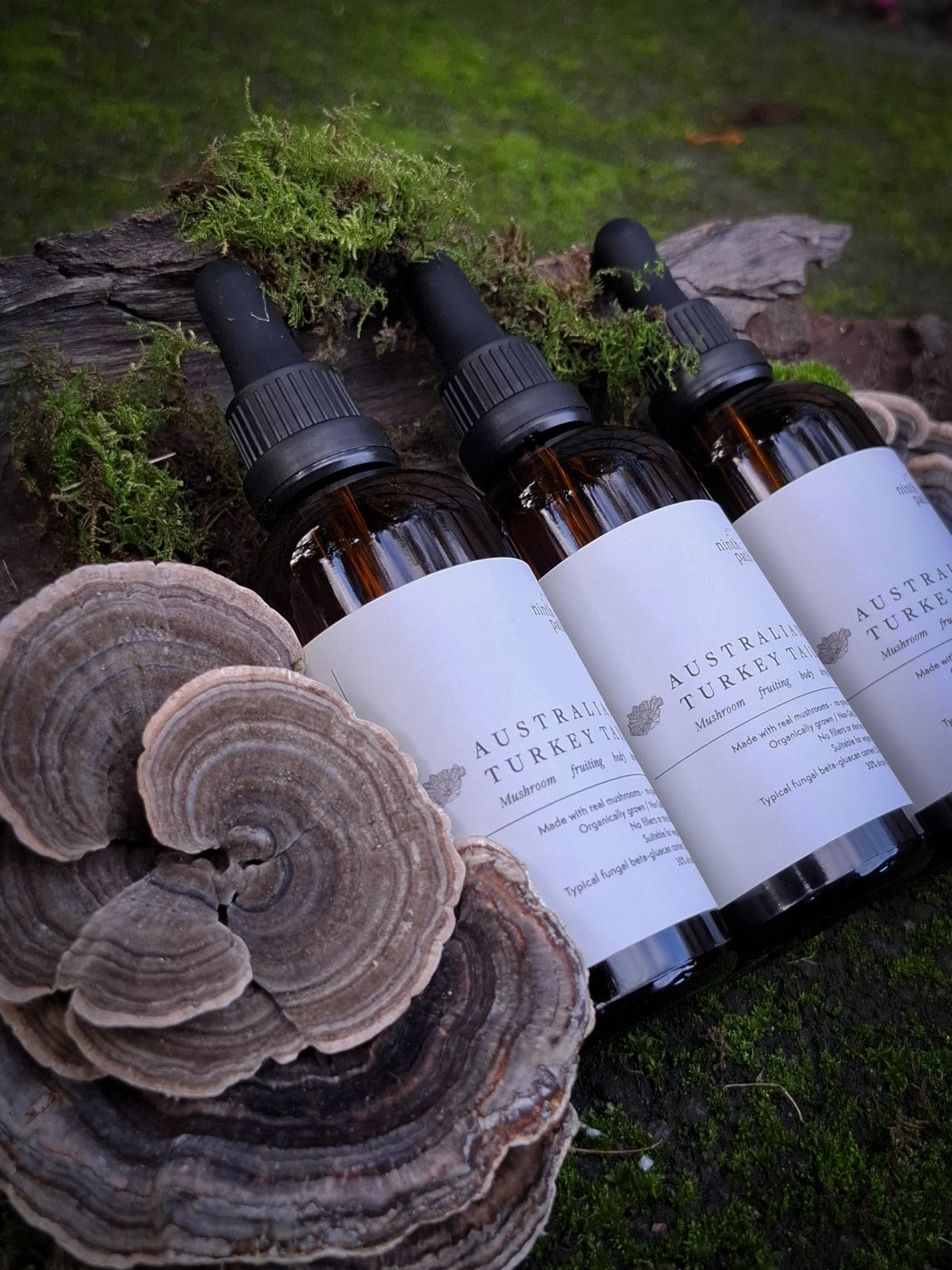 Australian Turkey Tail mushroom drops