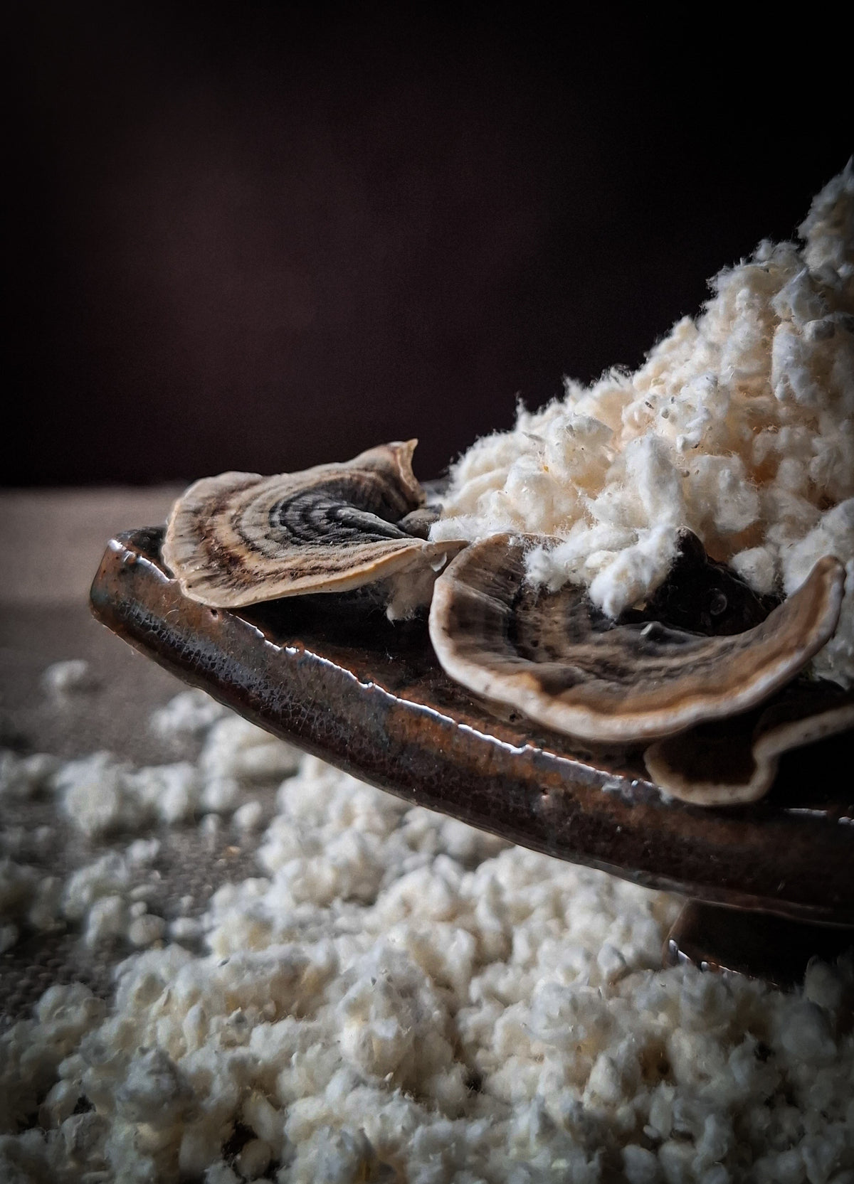 Australian Turkey Tail Mushroom Powder