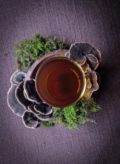 Australian Turkey Tail mushroom drops