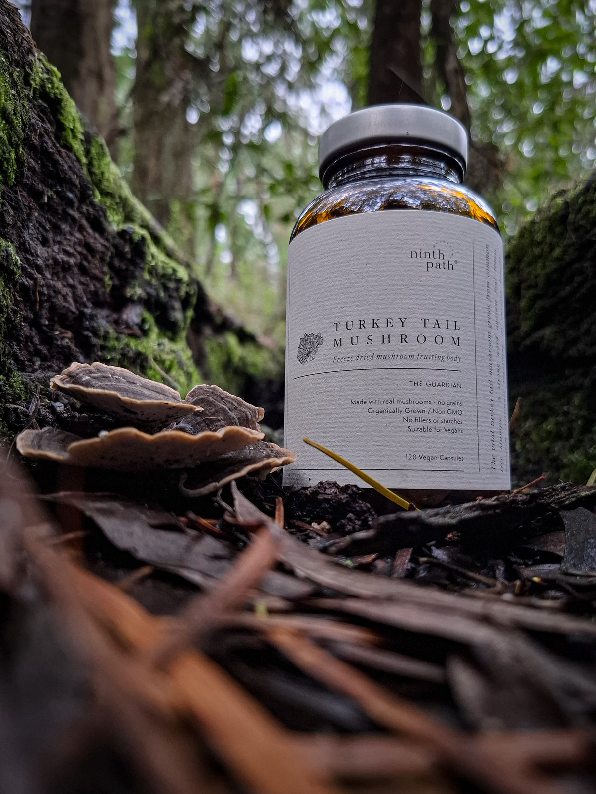 Australian Turkey Tail Mushroom Capsules