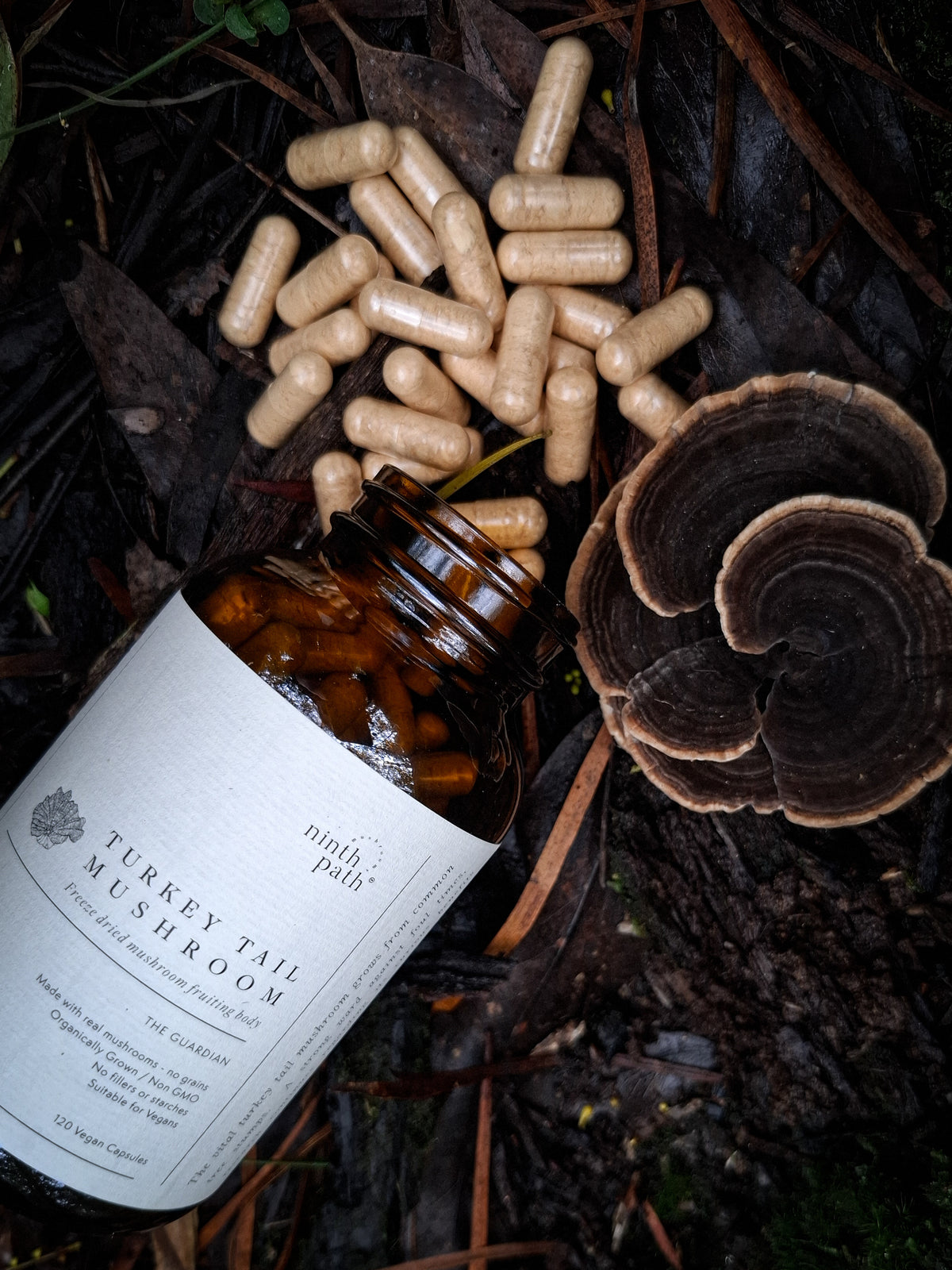 Australian Turkey Tail Mushroom Capsules