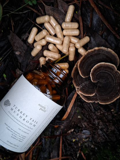 Australian Turkey Tail Mushroom Capsules