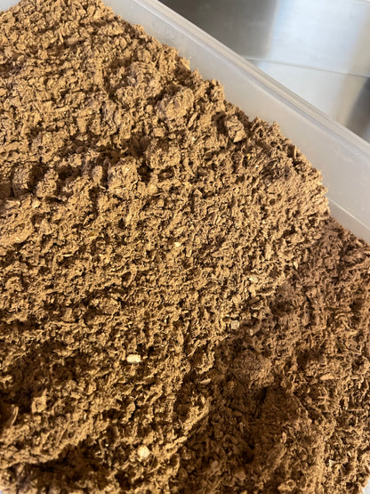 Australian Reishi Mushroom Powder