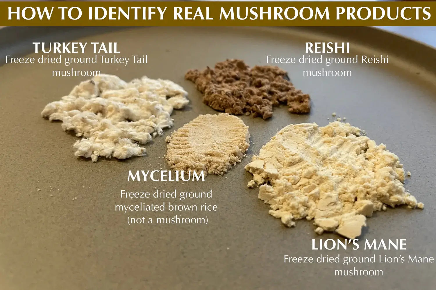 How to identify real mushroom products? | Ninth Path